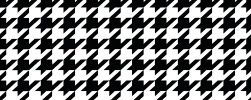 Black`n`White