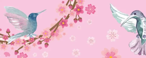 Cherry Blossom