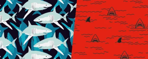 Jaws