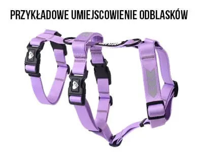 Przykładowe umiejscowienie odblasków