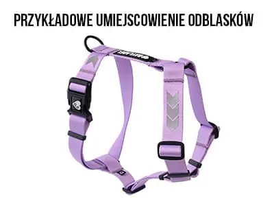 Przykładowe umiejscowienie odblasków