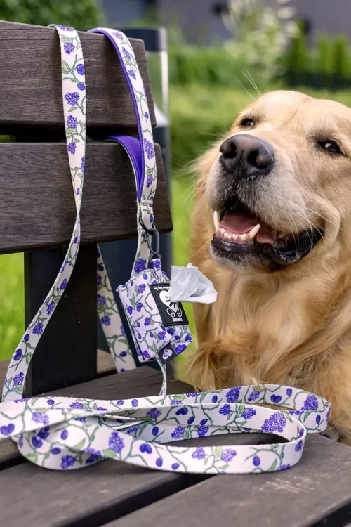 Smycz Plum & Bloom i etui na kupoworki